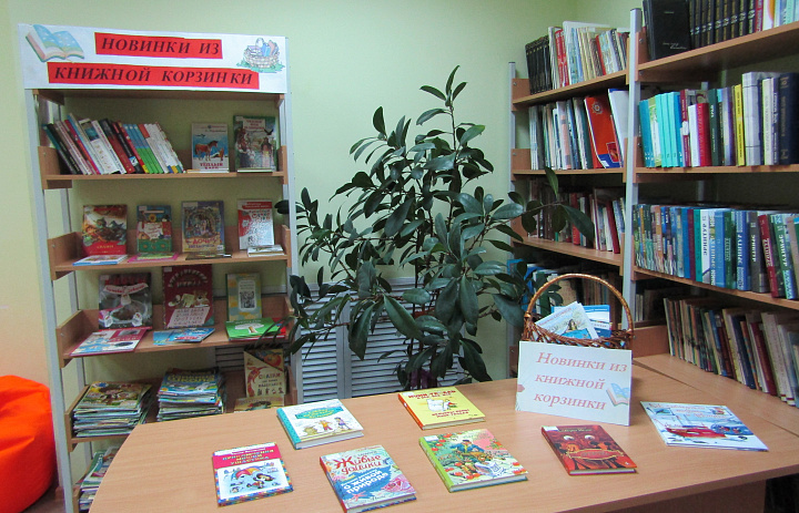 «Новинки на книжной полке» 